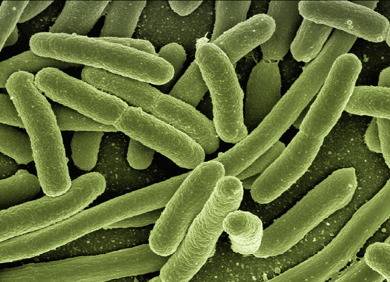 entdecken sie, wie das immunsystem den körper vor krankheiten schützt, welche faktoren es beeinflussen und wie sie ihre immunabwehr auf natürliche weise stärken können.