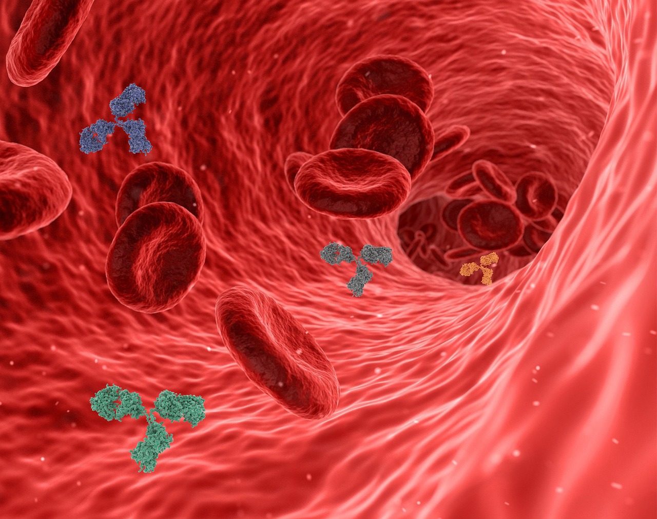 erfahren sie alles über das immunsystem, seine funktionen und wie sie ihre abwehrkräfte auf natürliche weise stärken können. tipps, informationen und wissenswertes für ihre gesundheit.